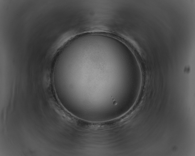 X0000091701407200708241212