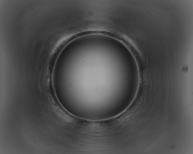 X0000091701408200708241213