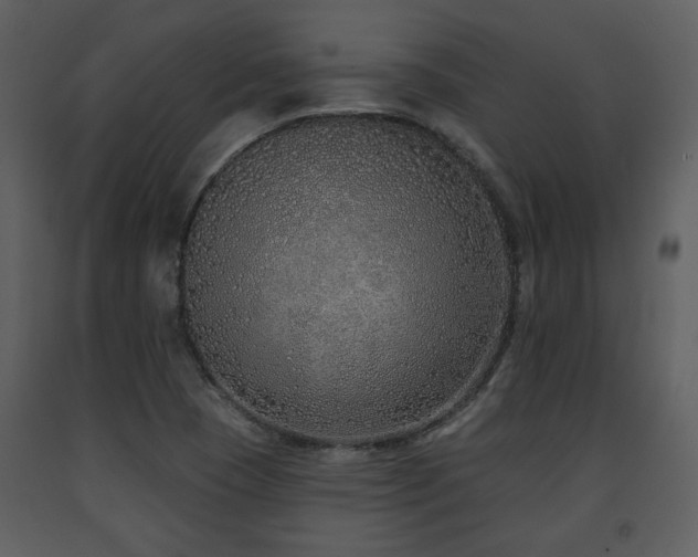 X0000091701409200708241213