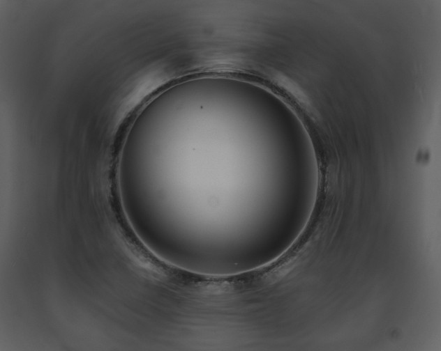 X0000091701410200708241213