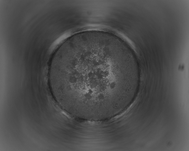 X0000091701411200708241213