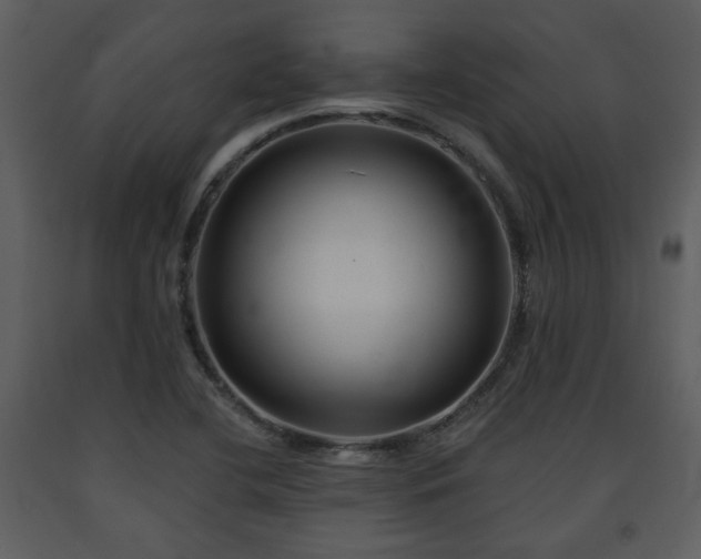 X0000091701412200708241213