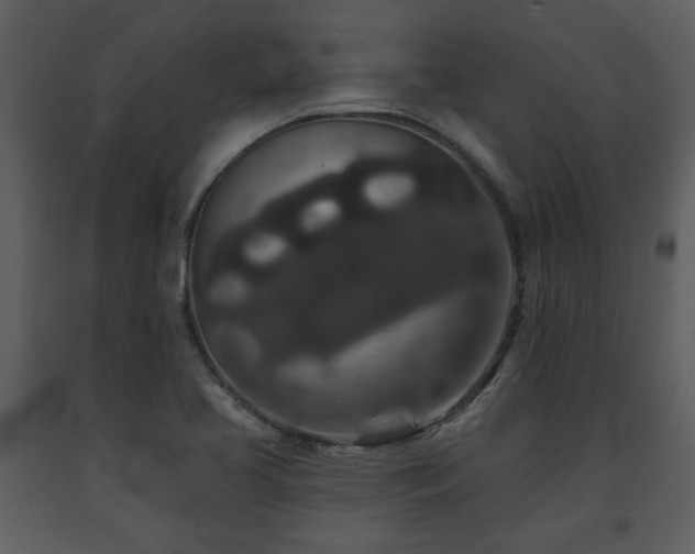X0000091701413200708241213