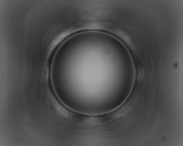X0000091701414200708241213