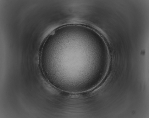 X0000091701415200708241213
