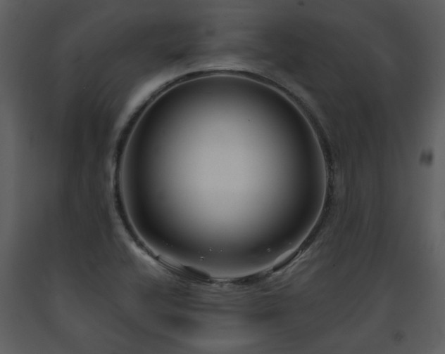 X0000091701416200708241213