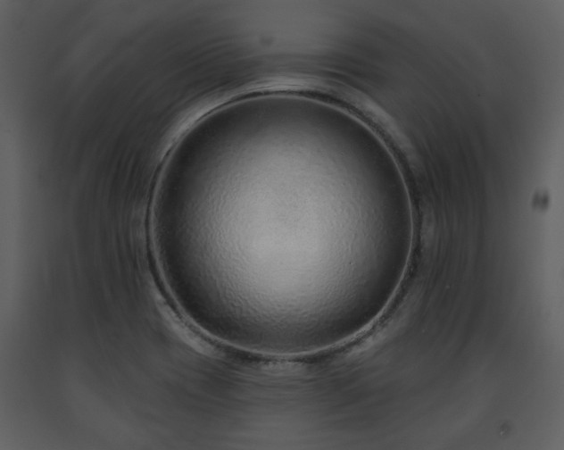 X0000091701417200708241213