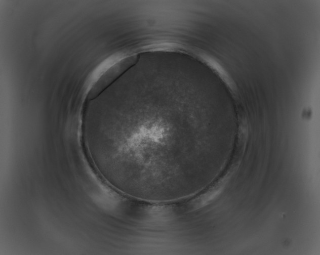 X0000091701418200708241213