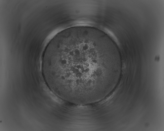 X0000091701419200708241213