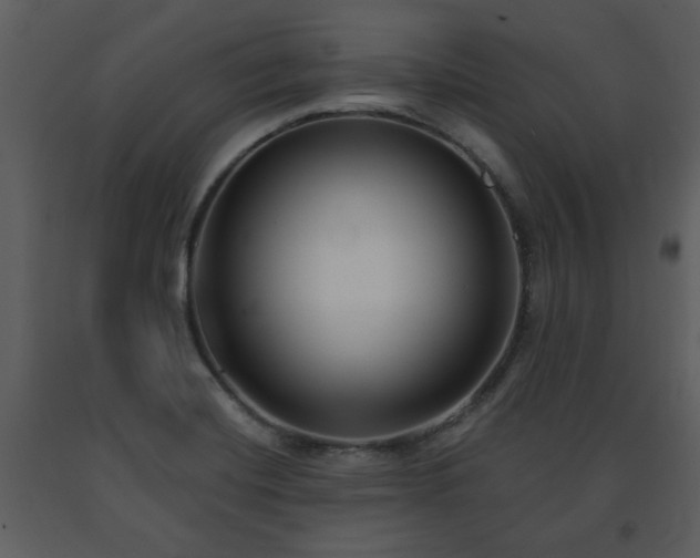 X0000091701420200708241213