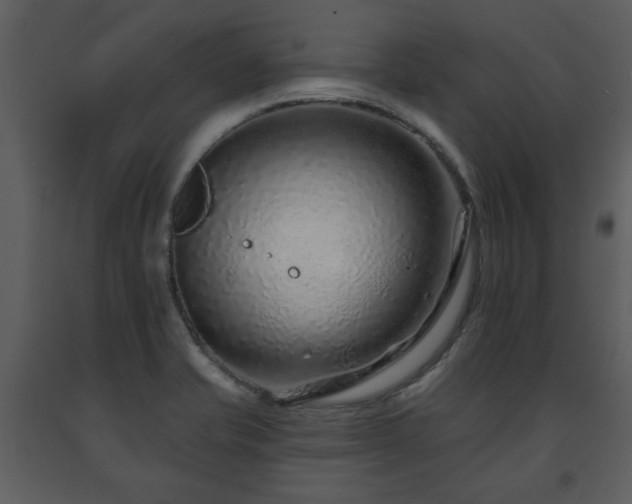 X0000091701421200708241213