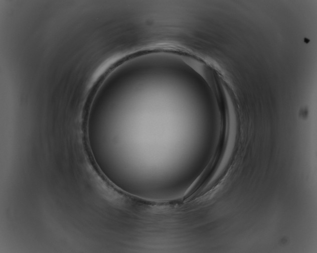X0000091701422200708241213