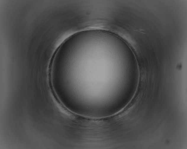 X0000091701423200708241213