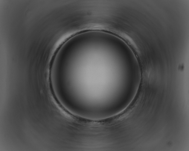 X0000091701424200708241213
