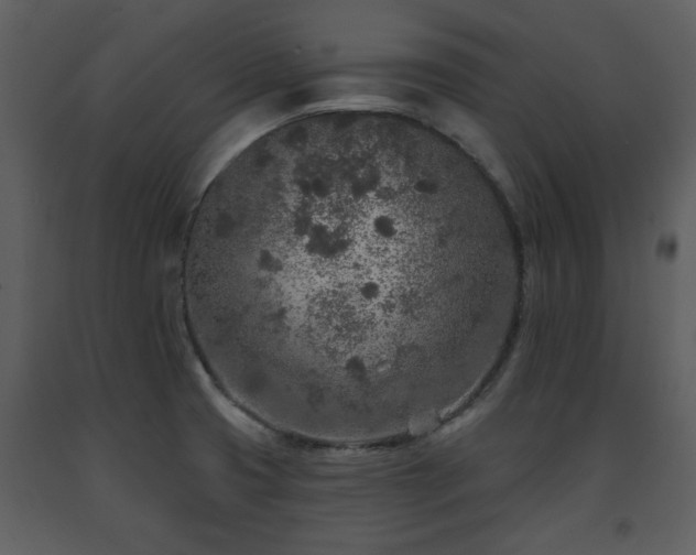 X0000091701425200708241213