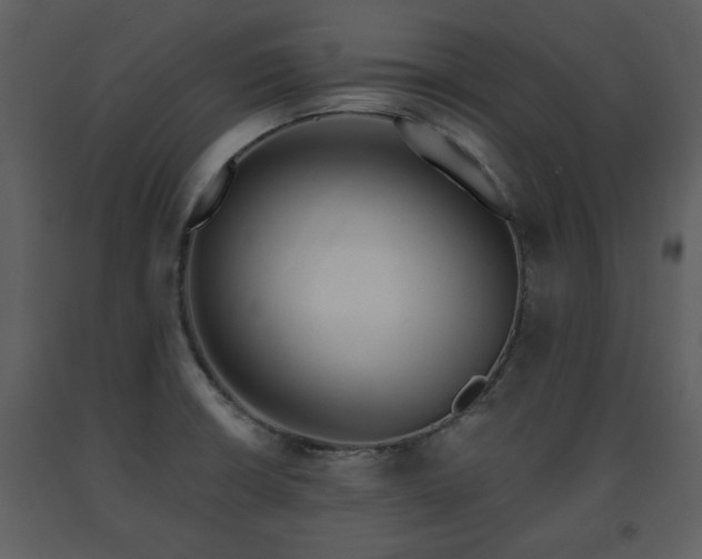 X0000091701426200708241213