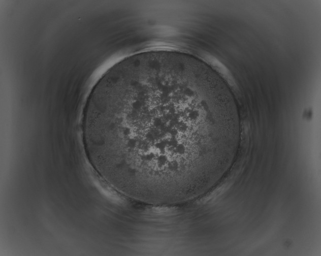 X0000091701427200708241213