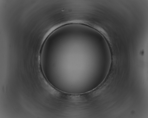 X0000091701428200708241213