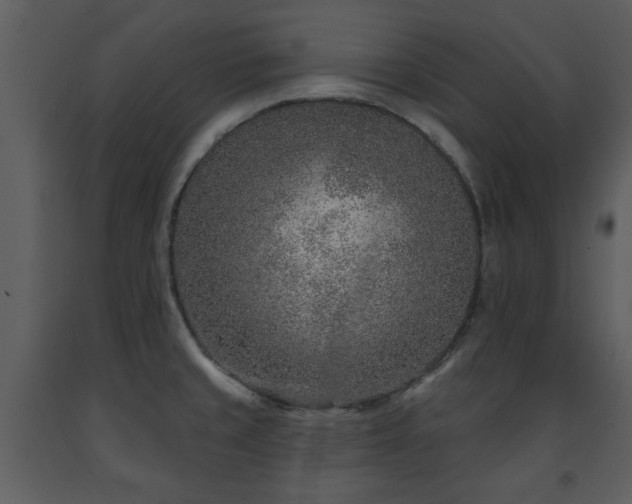 X0000091701429200708241213