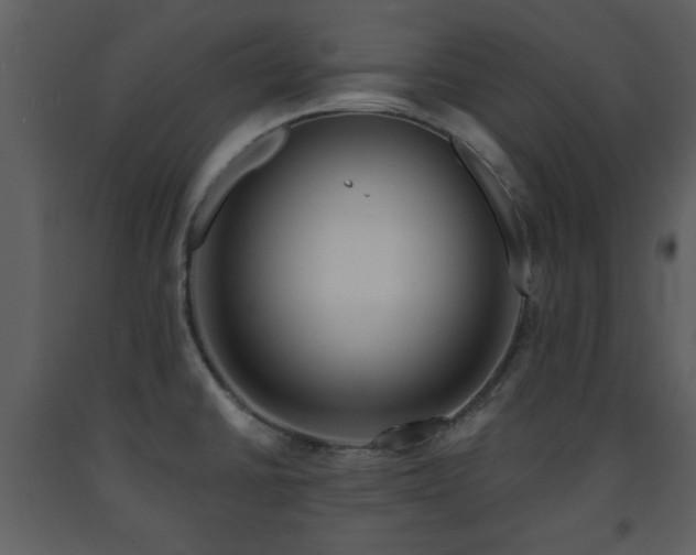 X0000091701430200708241213