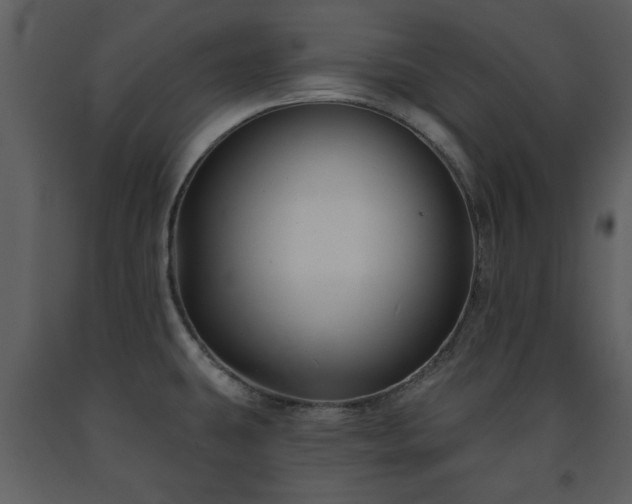 X0000091701431200708241213
