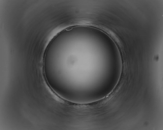 X0000091701432200708241213