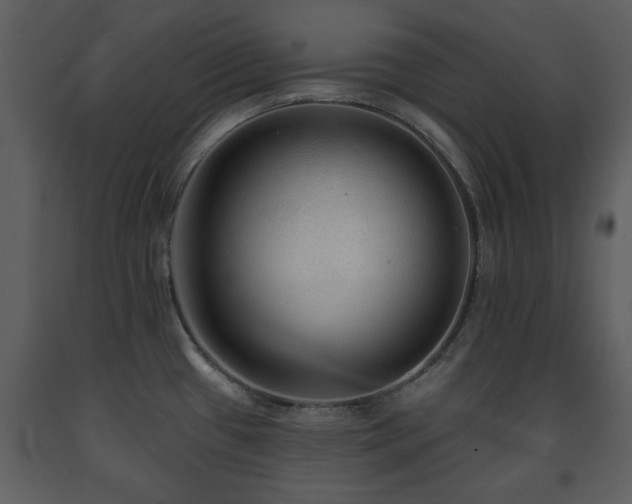 X0000091701433200708241213