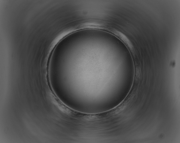 X0000091701435200708241213