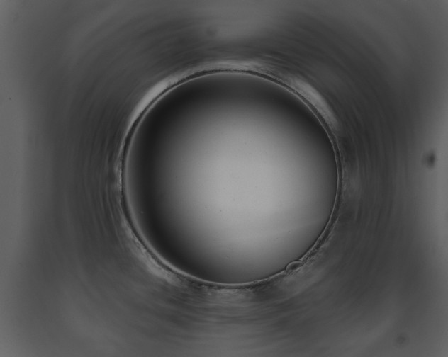 X0000091701436200708241213