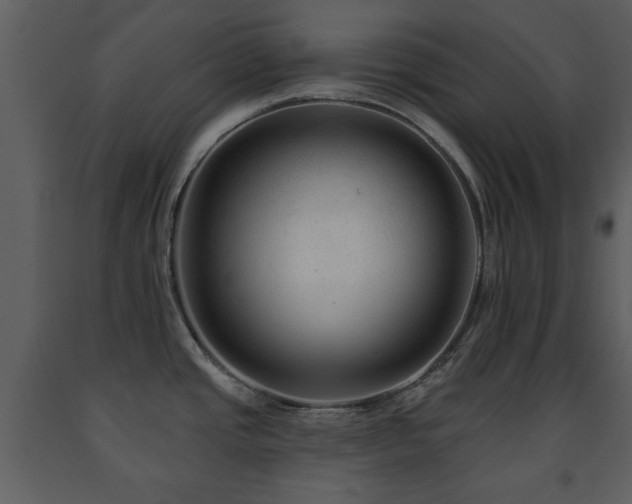 X0000091701437200708241213