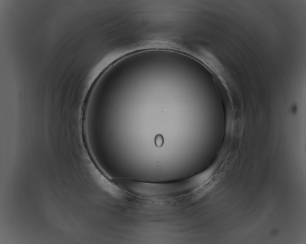 X0000091701438200708241213