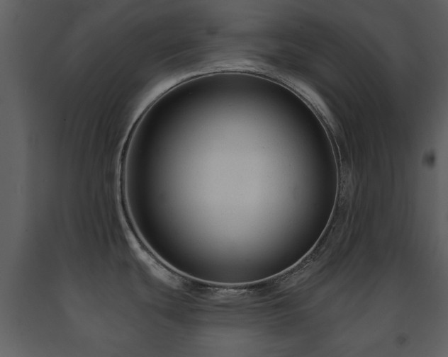 X0000091701439200708241213