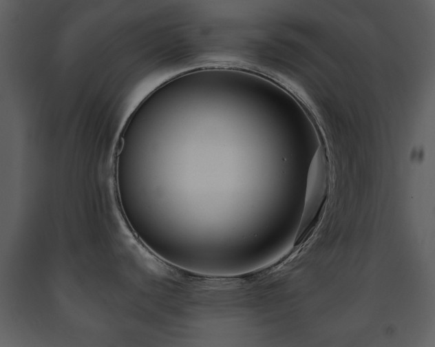 X0000091701440200708241213