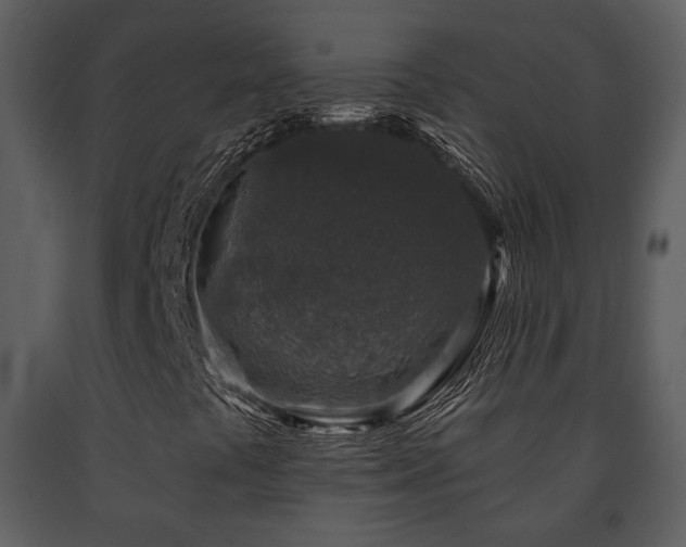 X0000091701441200708241212