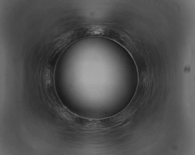 X0000091701442200708241212