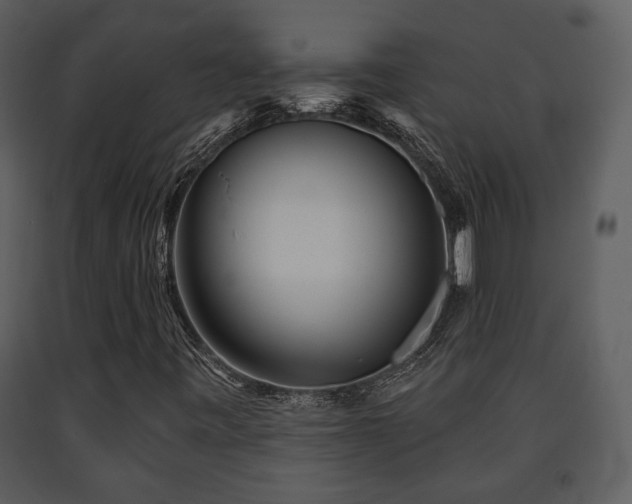 X0000091701443200708241212