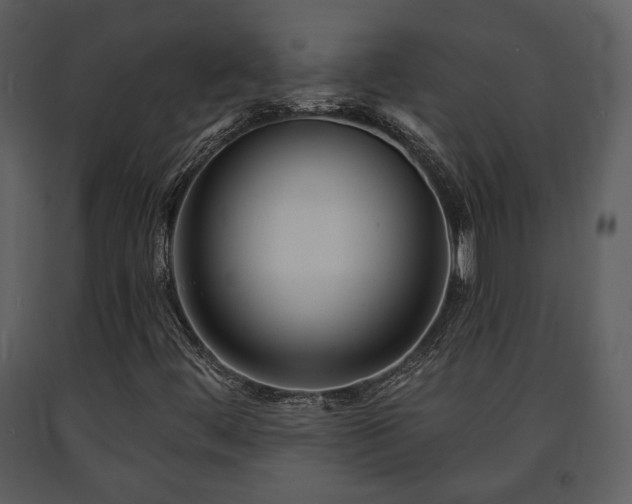 X0000091701444200708241212
