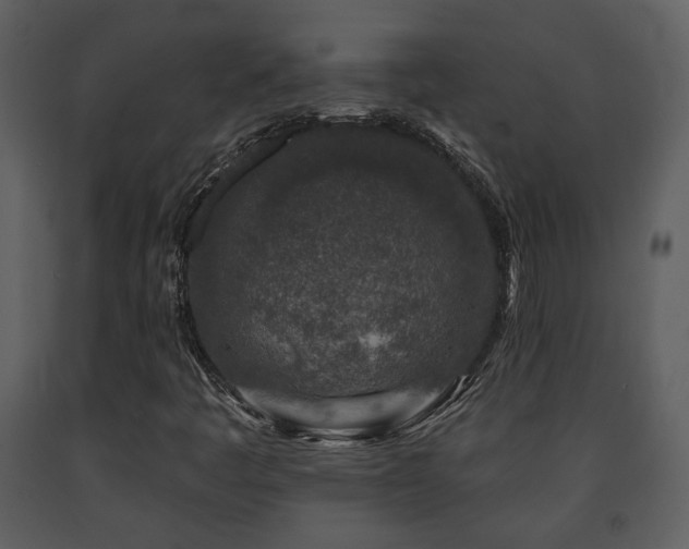 X0000091701445200708241212