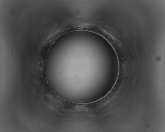X0000091701447200708241212