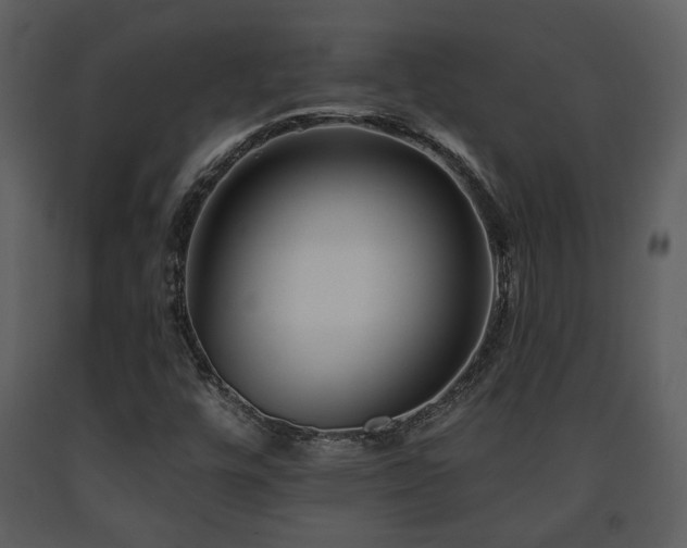 X0000091701448200708241212