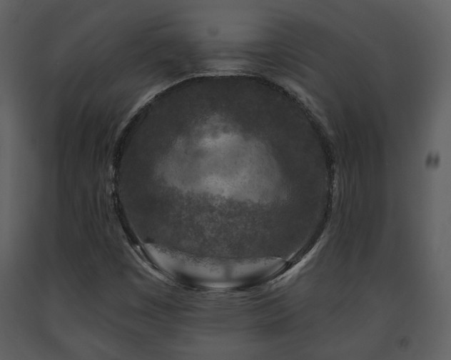X0000091701449200708241212