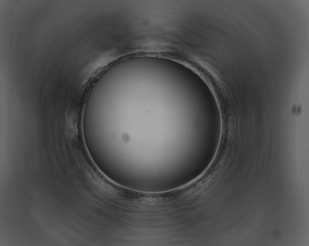 X0000091701451200708241212