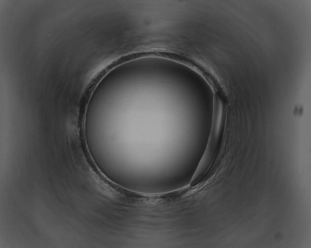 X0000091701452200708241212