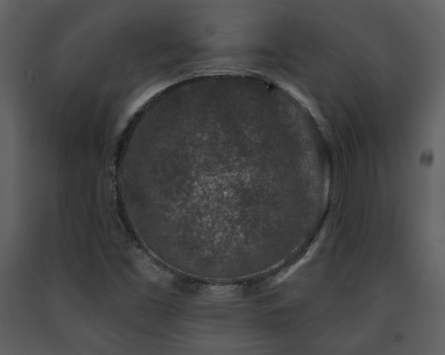 X0000091701453200708241212