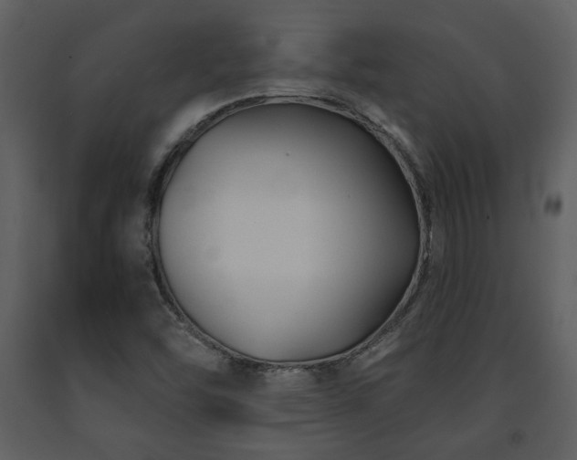 X0000091701454200708241212