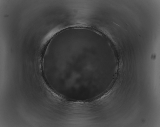 X0000091701455200708241212