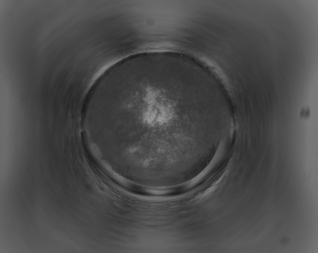 X0000091701457200708241212