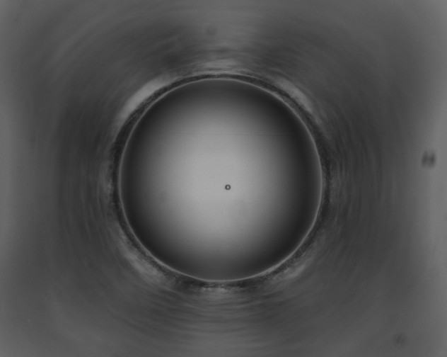 X0000091701458200708241212
