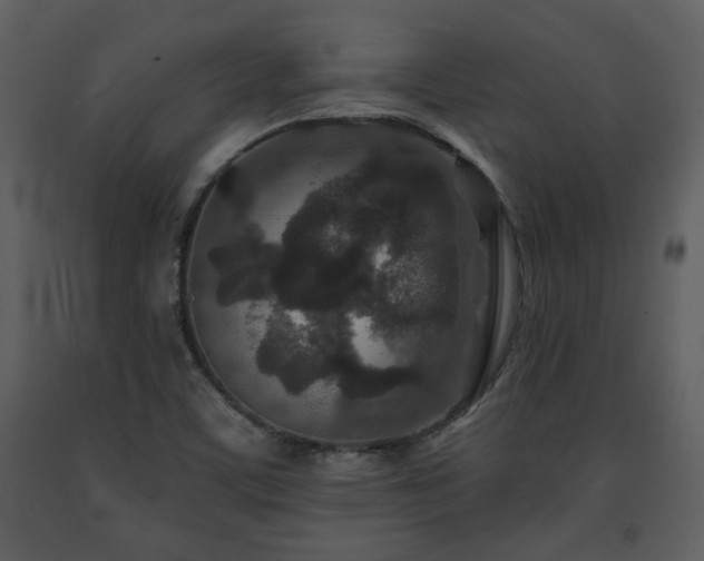 X0000091701459200708241212