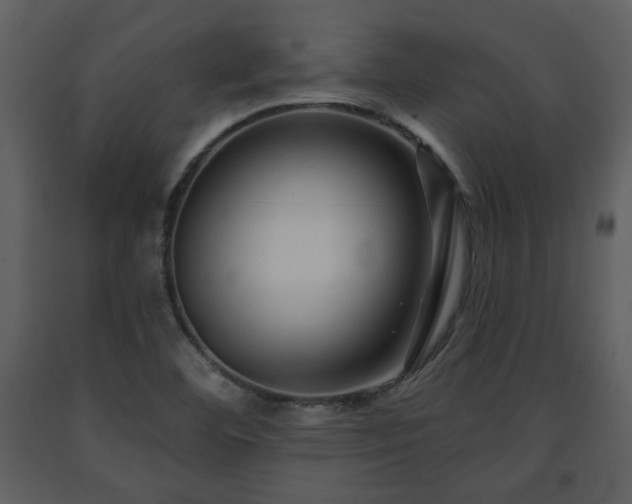 X0000091701460200708241212